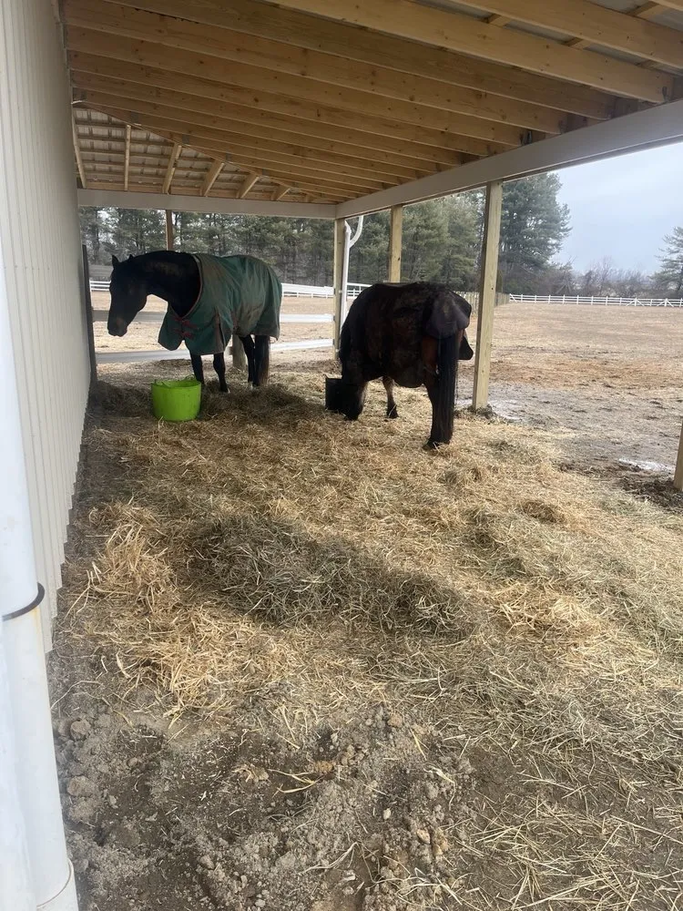 Slide of Robles & Son Construction