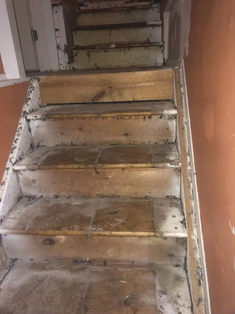 Slide of Roc Renovations Plus Builders