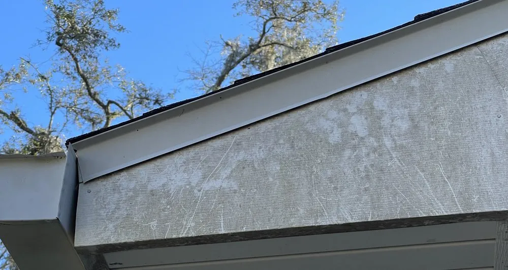Reliable residential roofing service in Tampa Bay, FL by Rocco’s Pressure Washing