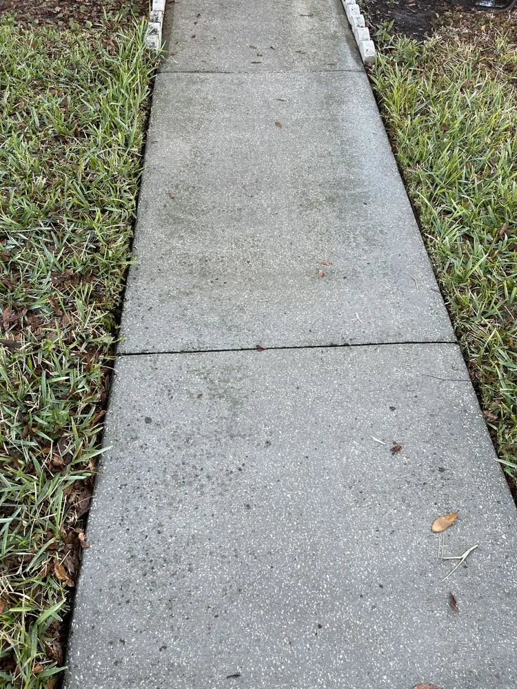 Reliable roof replacement same-day service in Tampa Bay, FL by Rocco’s Pressure Washing