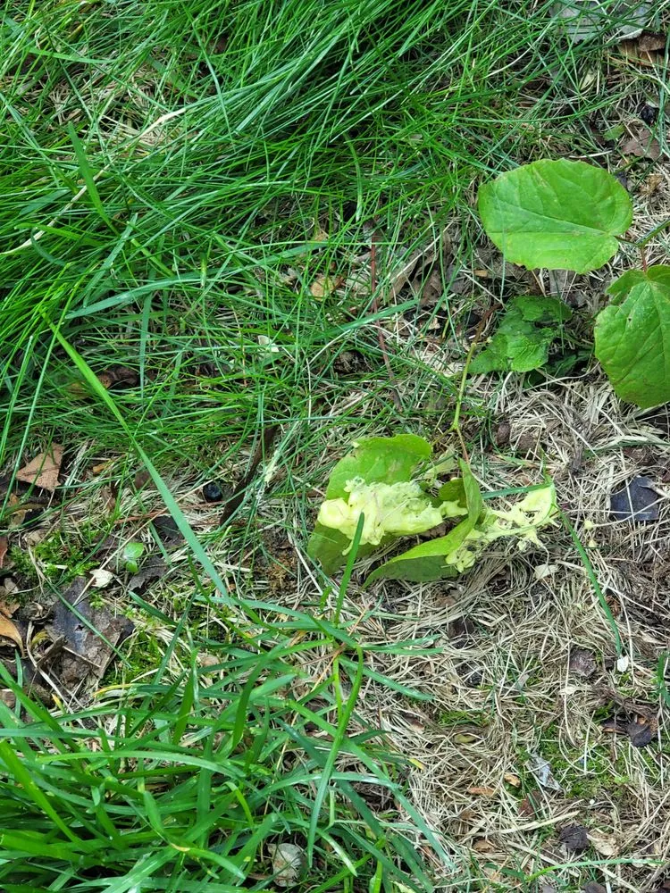 Slide of Rockford Siding and Windows