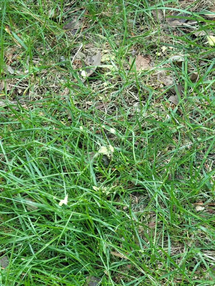 Slide of Rockford Siding and Windows