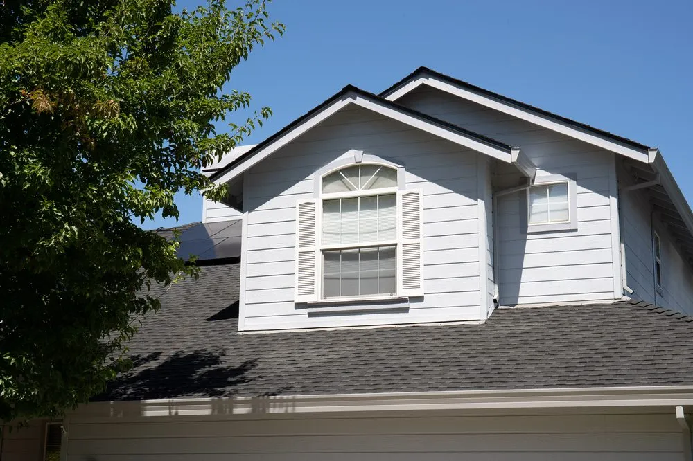 Slide of Rockin' Roofers