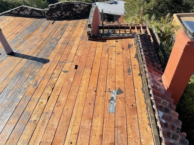 Slide of Rockin' Roofers