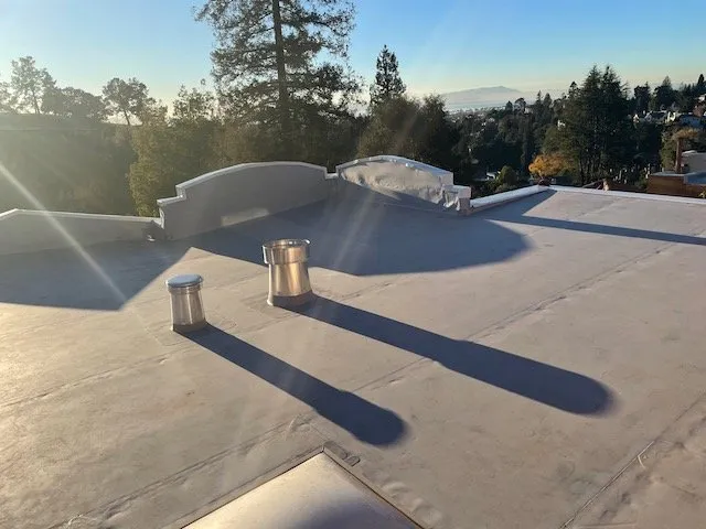 Slide of Rockin' Roofers