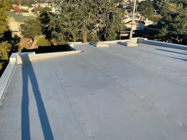 Slide of Rockin' Roofers