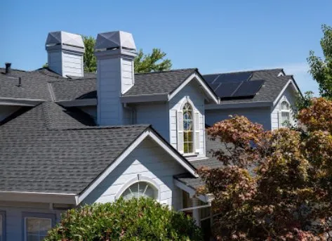 Slide of Rockin' Roofers