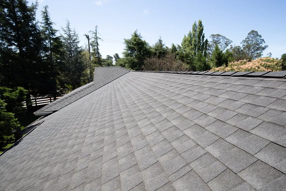 Slide of Rockin' Roofers