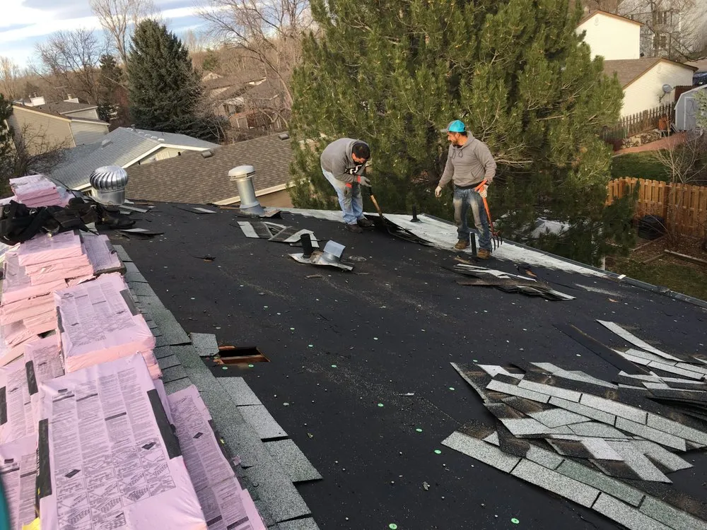 Slide of Rocky MTN Restoration