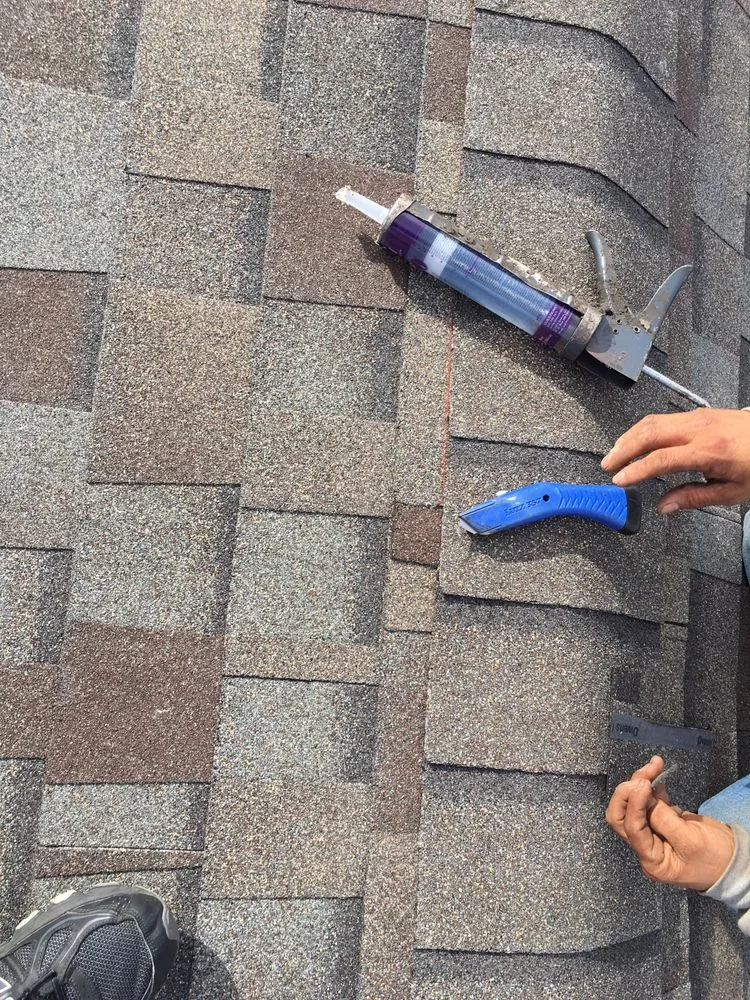 Slide of Rocky MTN Restoration