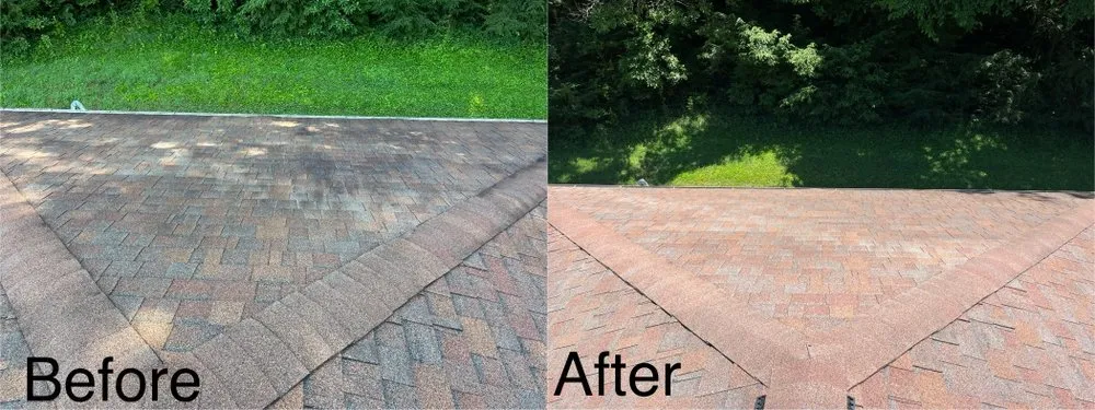 Slide of Rocky Top Kleen