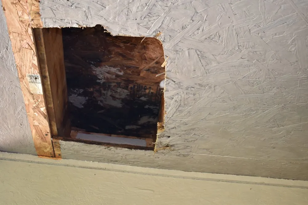 Slide of Rodas Construction