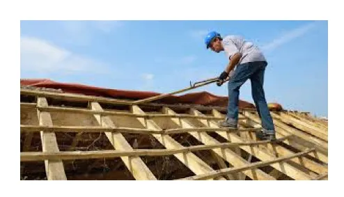 Slide of Rodney The Roofer