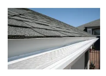 Slide of Rodney The Roofer