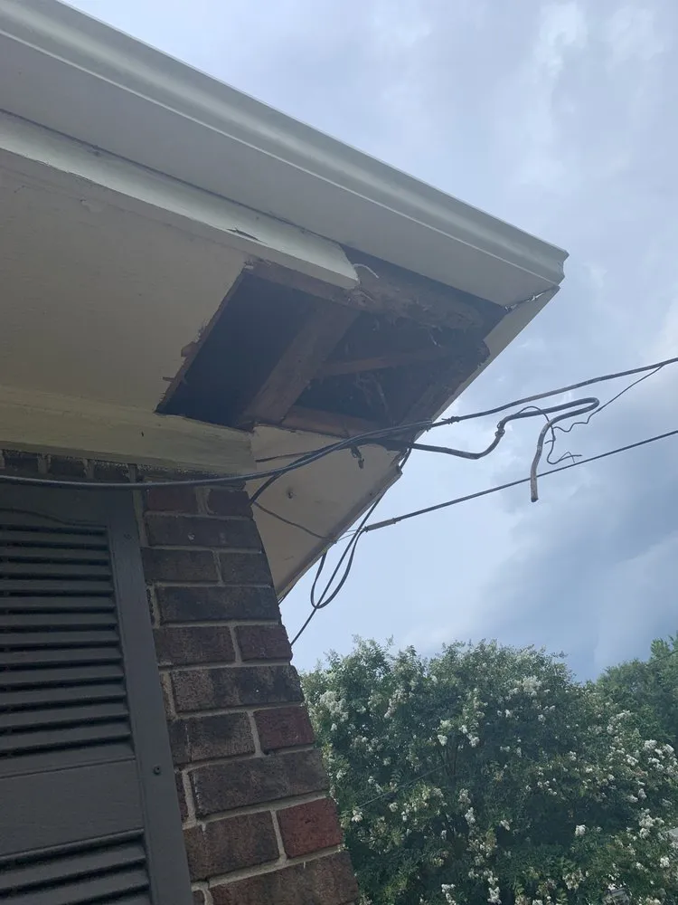 Slide of Roebuck Renovations