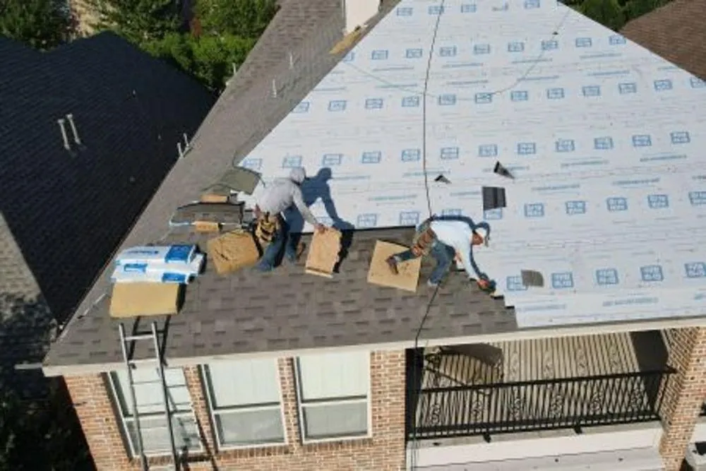 Slide of Roger The Roofer