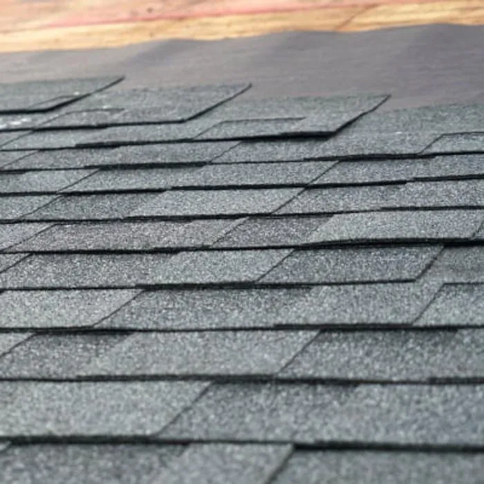 Slide of Roger The Roofer