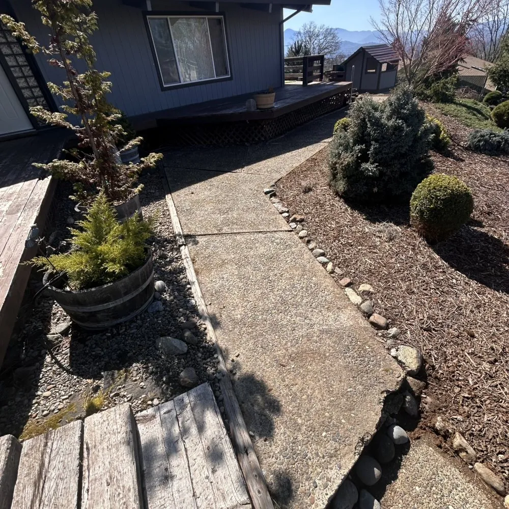 Slide of Rogue Consultation Cleaning