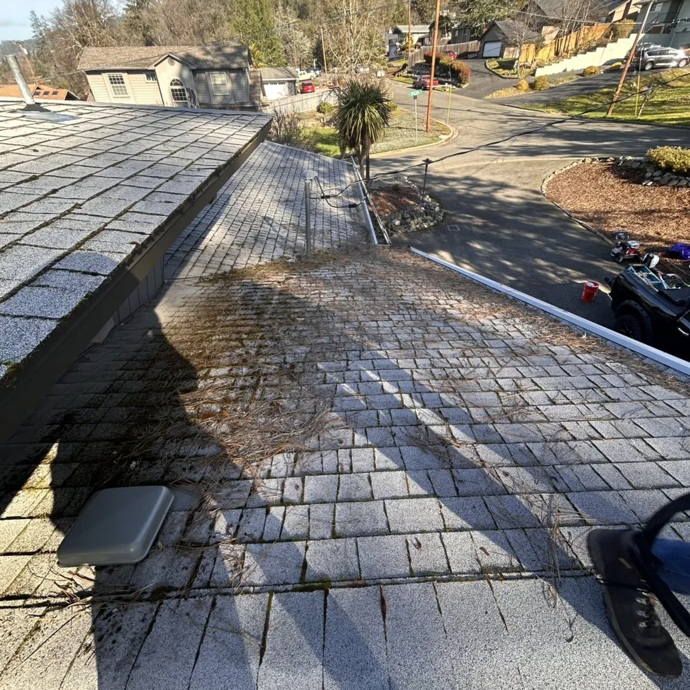 Slide of Rogue Consultation Cleaning