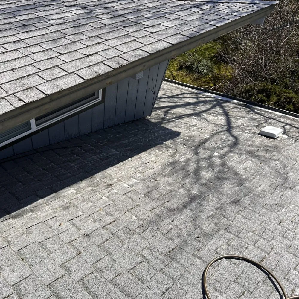 Slide of Rogue Consultation Cleaning