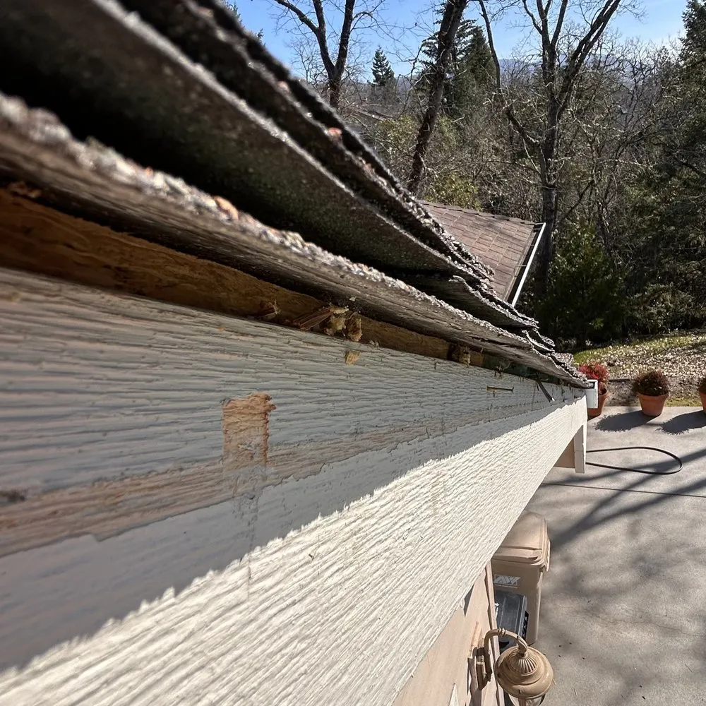 Slide of Rogue Consultation Cleaning