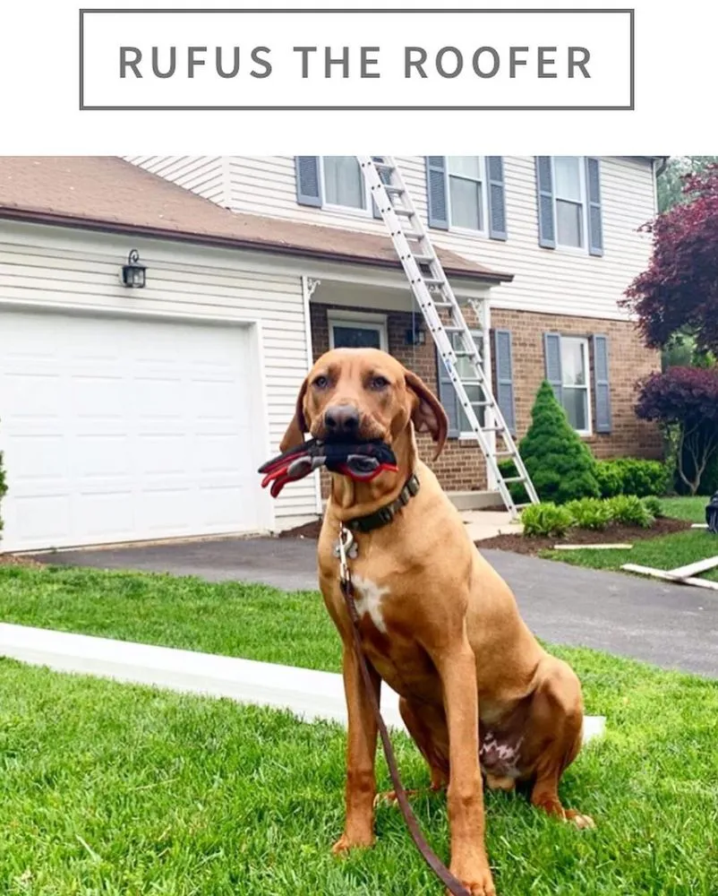 Local storm damage roof repair same-day service in Millersville, MD by ROI Construction