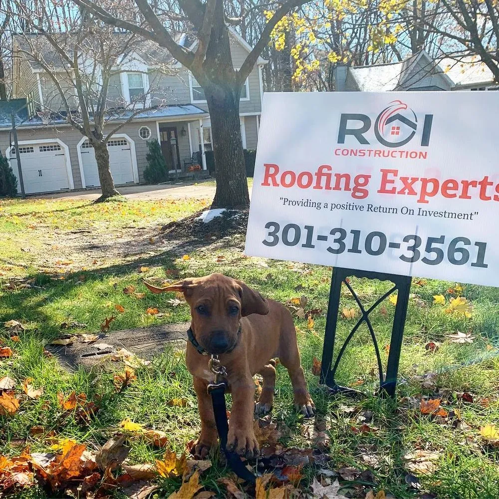 Reliable metal roofing installation in Millersville, MD - ROI Construction