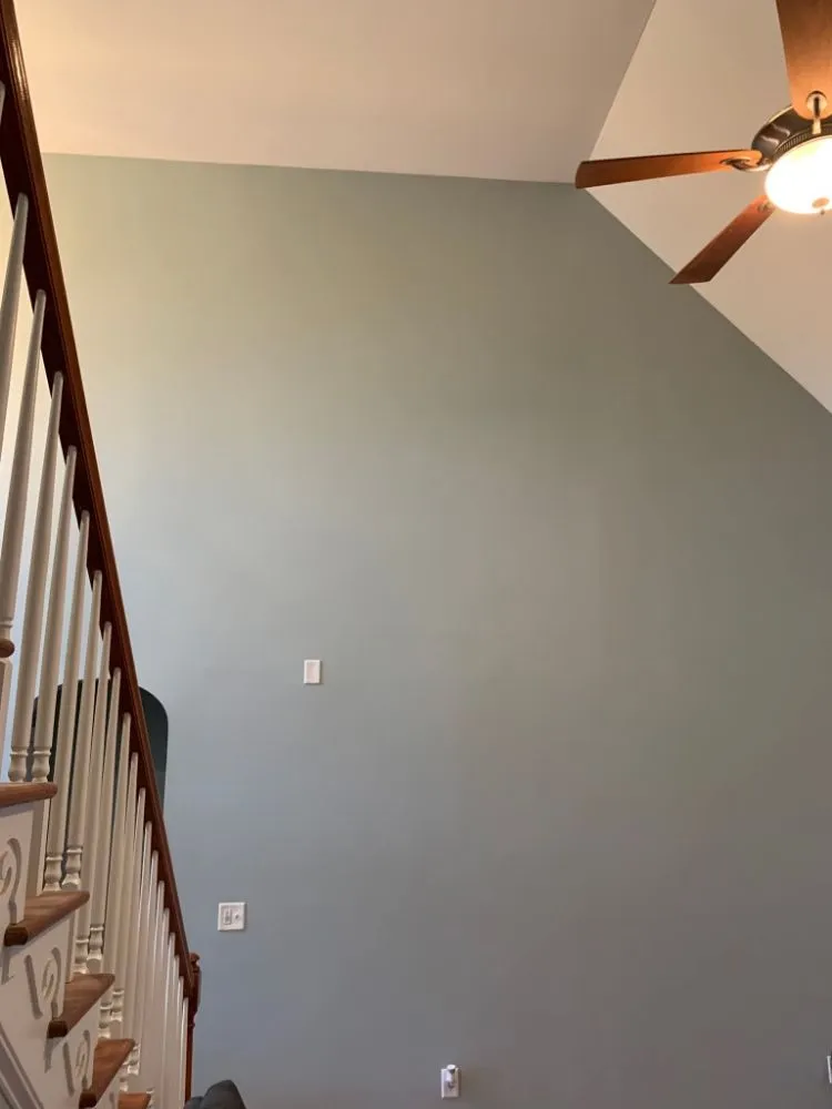 Slide of Rolando Painting & More