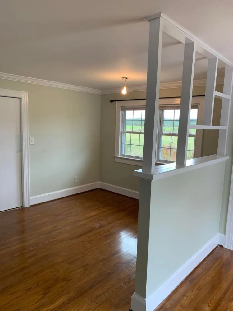 Slide of Rolando Painting & More