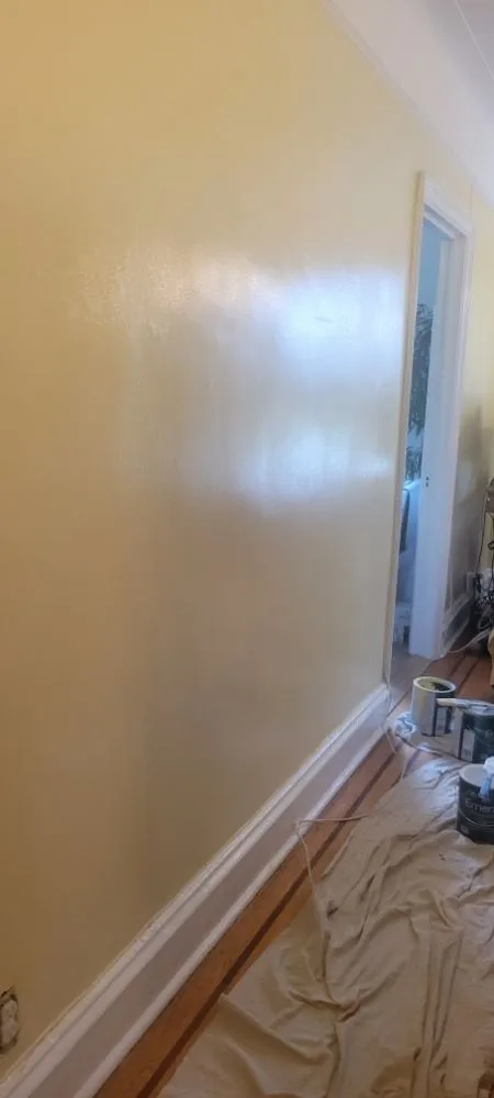 Slide of Rolando Painting & More