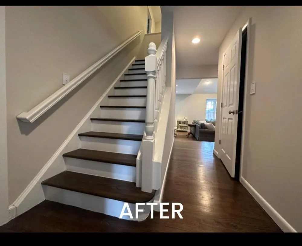 Slide of Rolando Painting & More