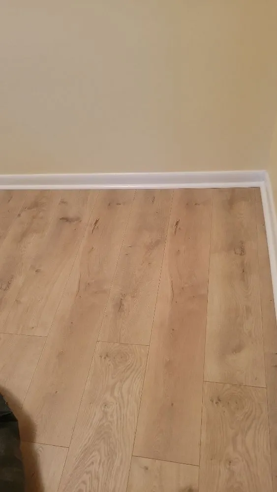 Slide of Rolando Painting & More