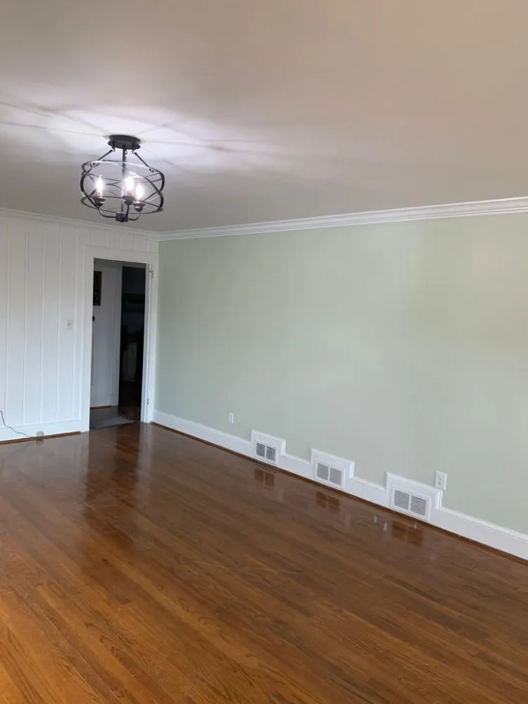 Slide of Rolando Painting & More