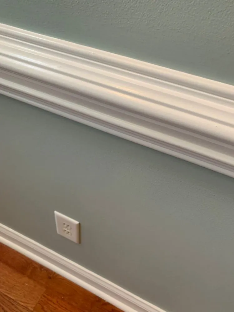 Slide of Rolando Painting & More