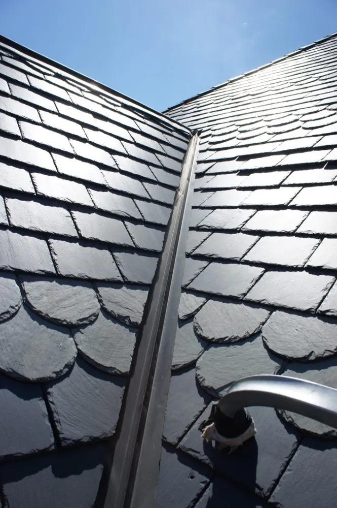 Slide of Rollins & Associates