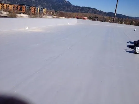 Slide of Roman Roofing & Construction