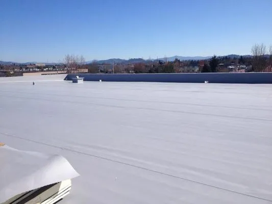 Roman Roofing & Construction Logo