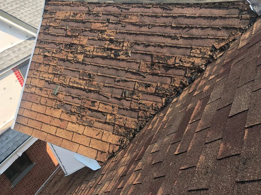 Slide of Roman Roofing