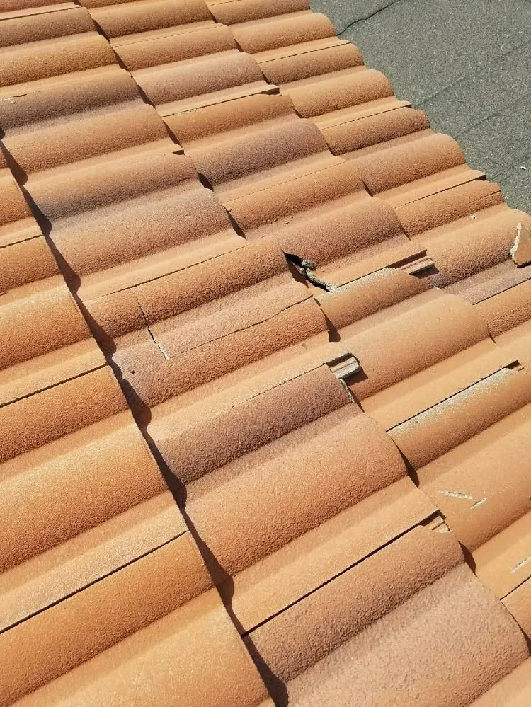 Slide of Roman Roofing