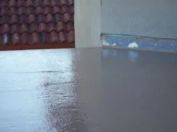 Slide of Roman Roofing