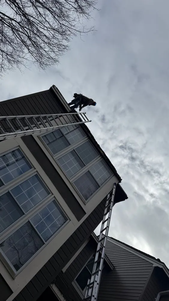 Slide of Romero Repairs