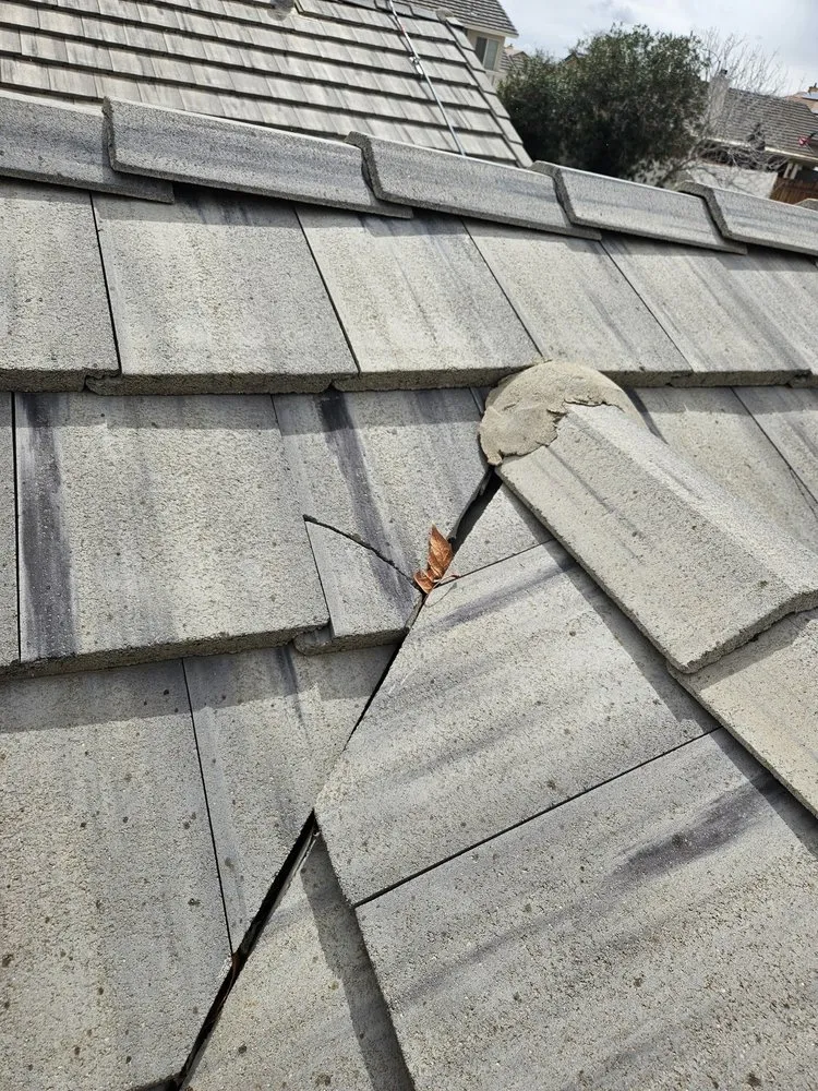 Slide of Romer’s Roofing