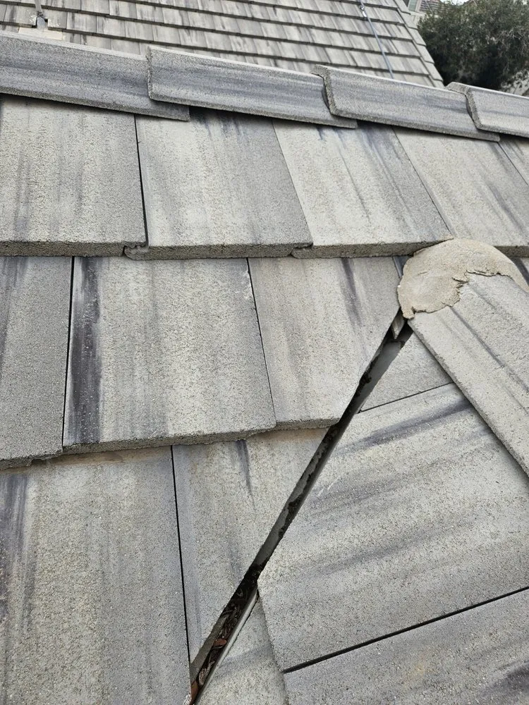 Slide of Romer’s Roofing