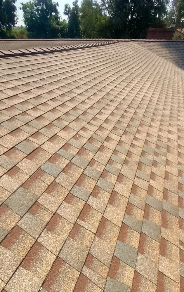 Slide of Romer’s Roofing