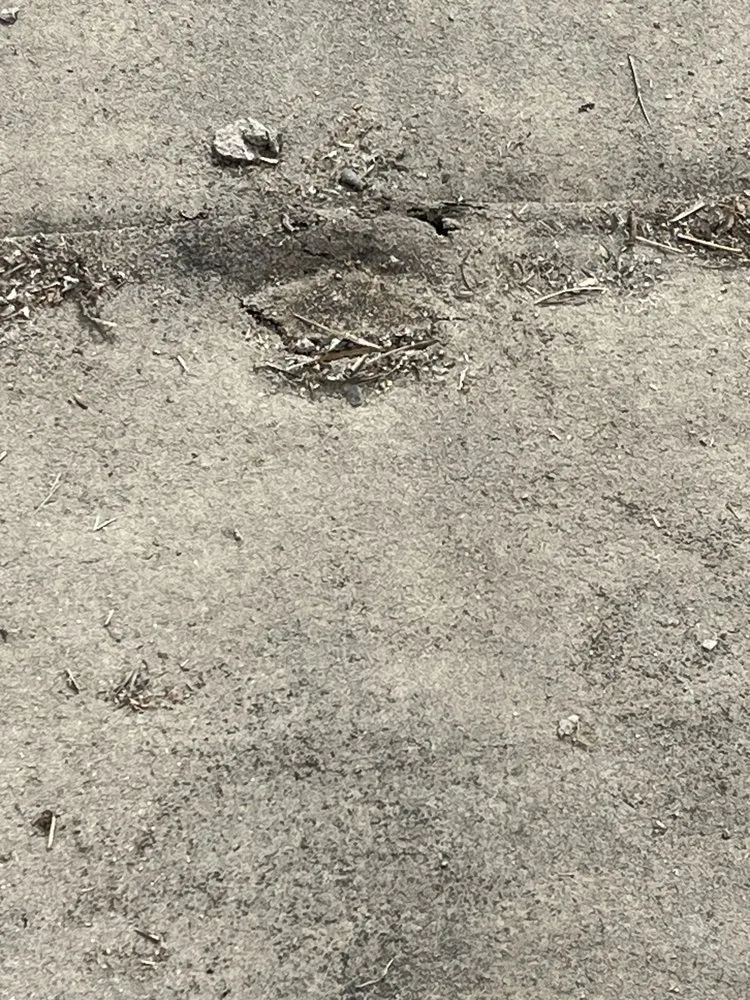 Slide of Ronald Merchant Roofing