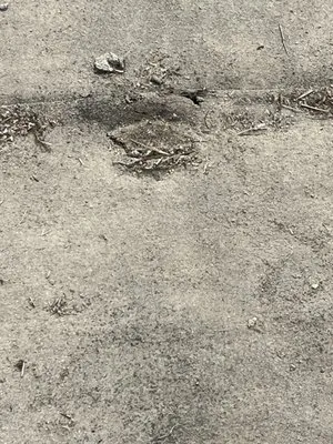 Ronald Merchant Roofing