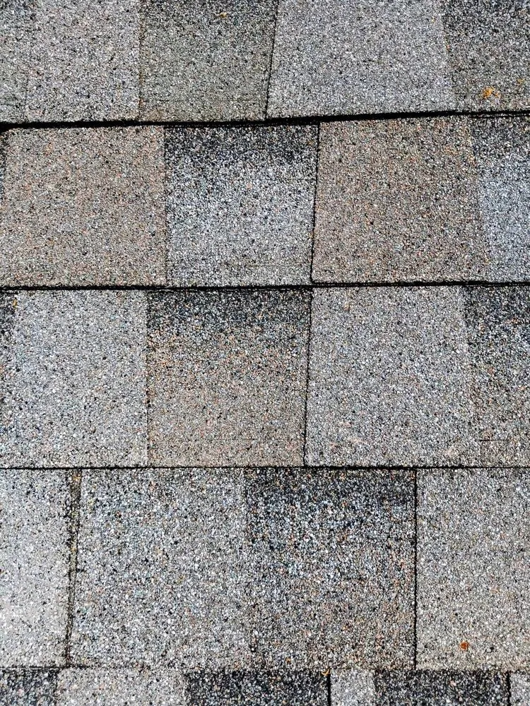 Slide of Ronnie Roofer