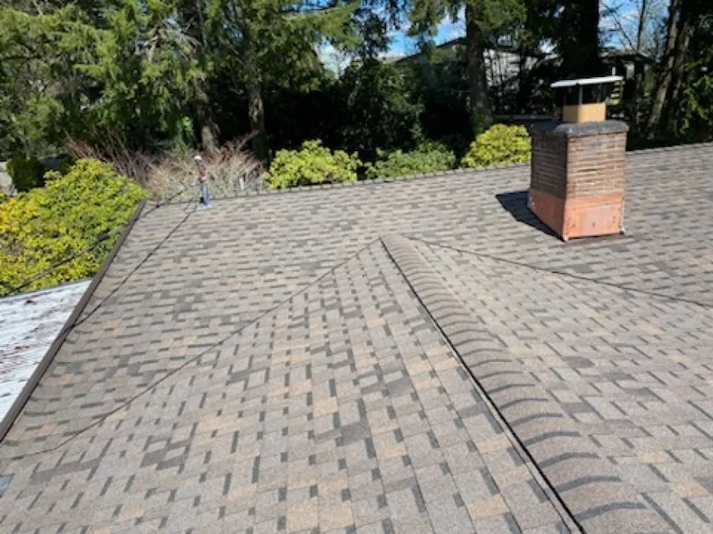 Slide of Ron's Roof Repair