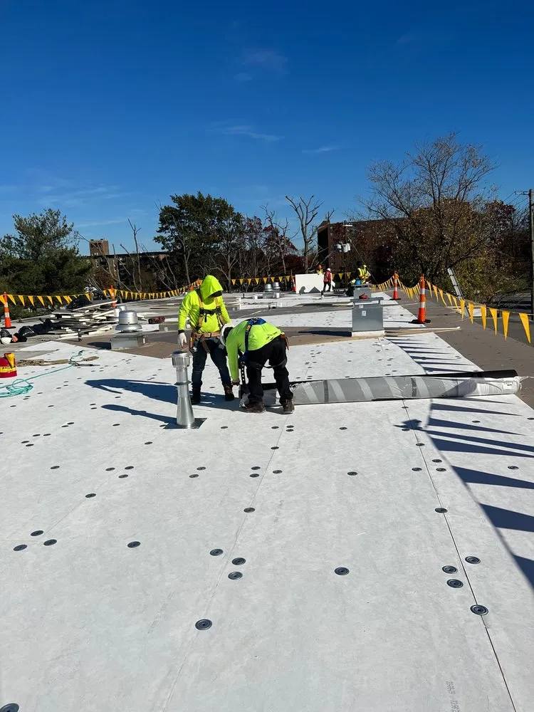 Slide of Rony & Son's