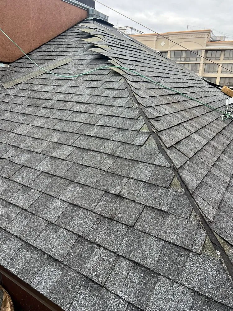 Slide of Rony & Son's